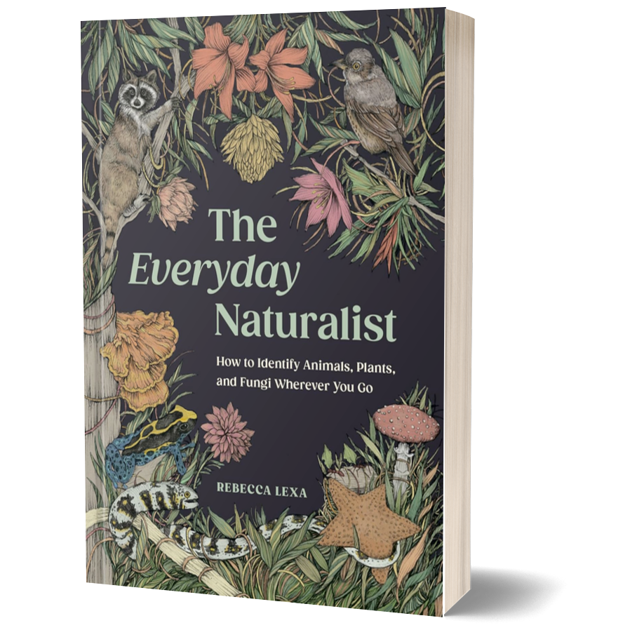 The Everyday Naturalist: How to Identify Animals, Plants, and Fungi Wherever You Go