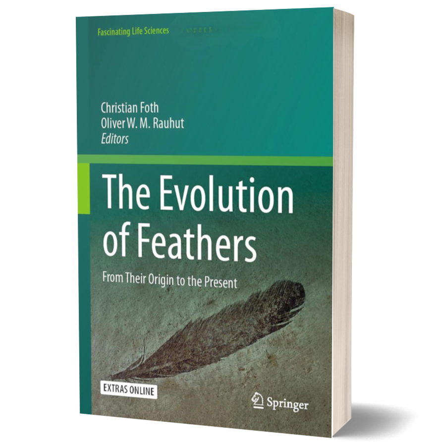 The Evolution of Feathers: From Their Origin to the Present (Fascinating Life Sciences)