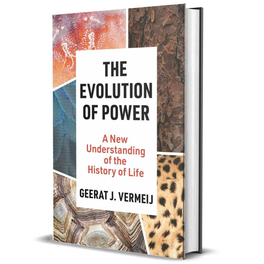 The Evolution of Power: A New Understanding of the History of Life