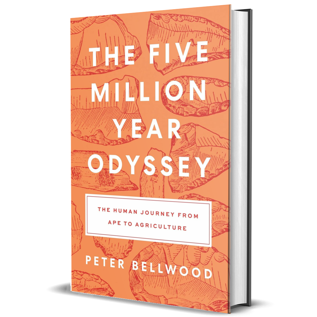 The Five-Million-Year Odyssey: The Human Journey from Ape to Agriculture