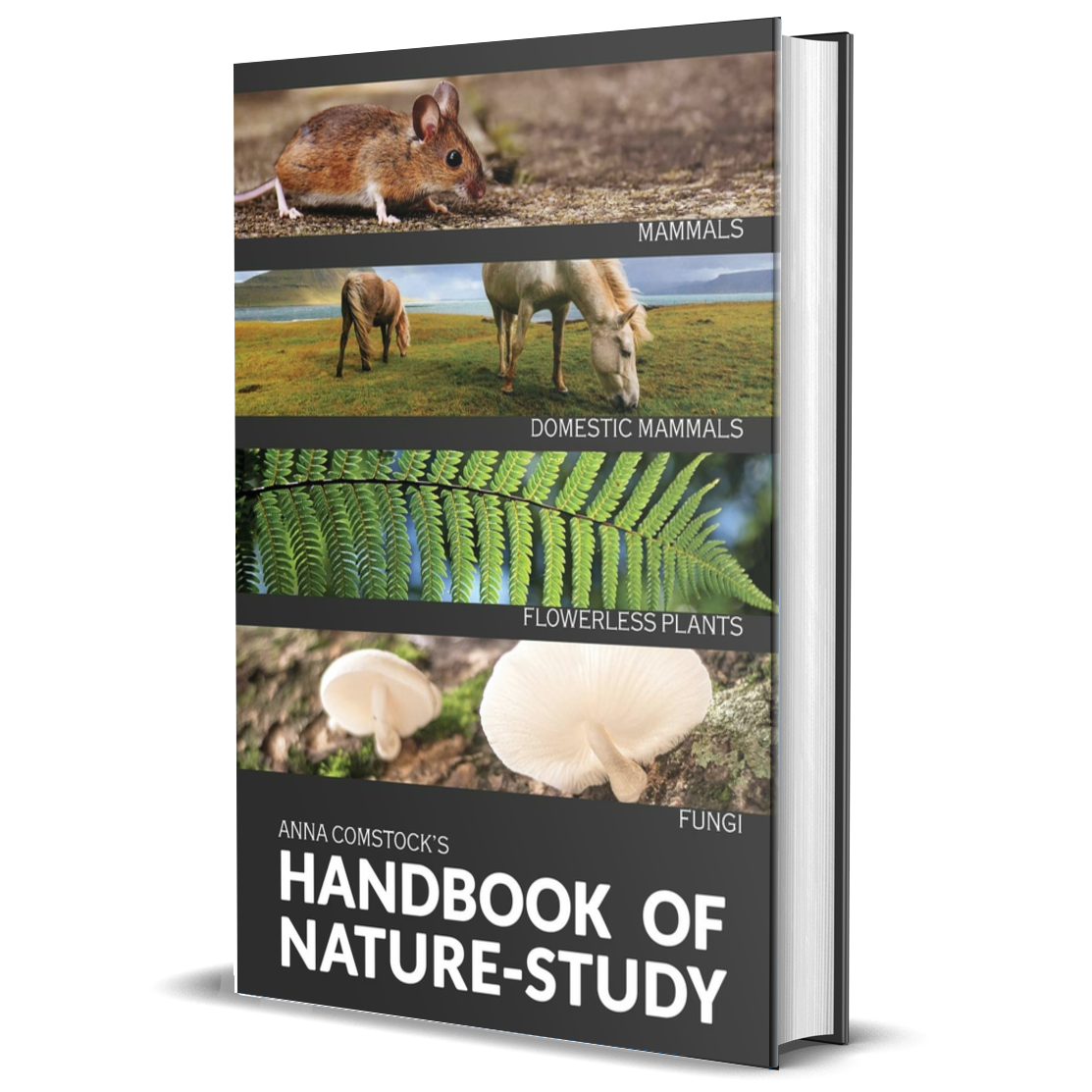 The Handbook of Nature Study in Color: Mammals and Flowerless Plants