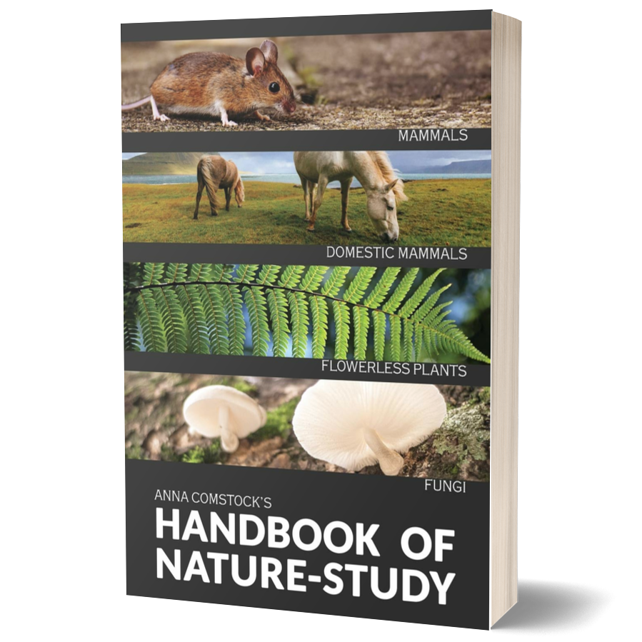 The Handbook of Nature Study in Color: Mammals and Flowerless Plants