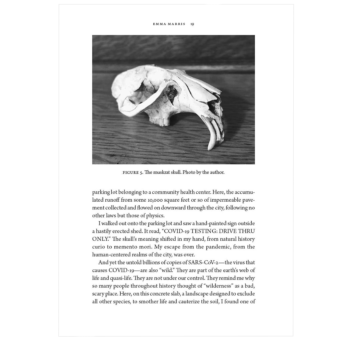 The Heart of the Wild: Essays on Nature, Conservation, and the Human Future