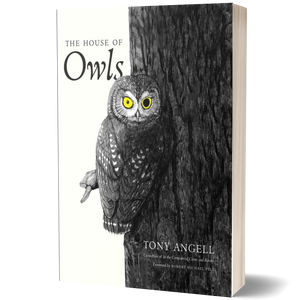 The House of Owls