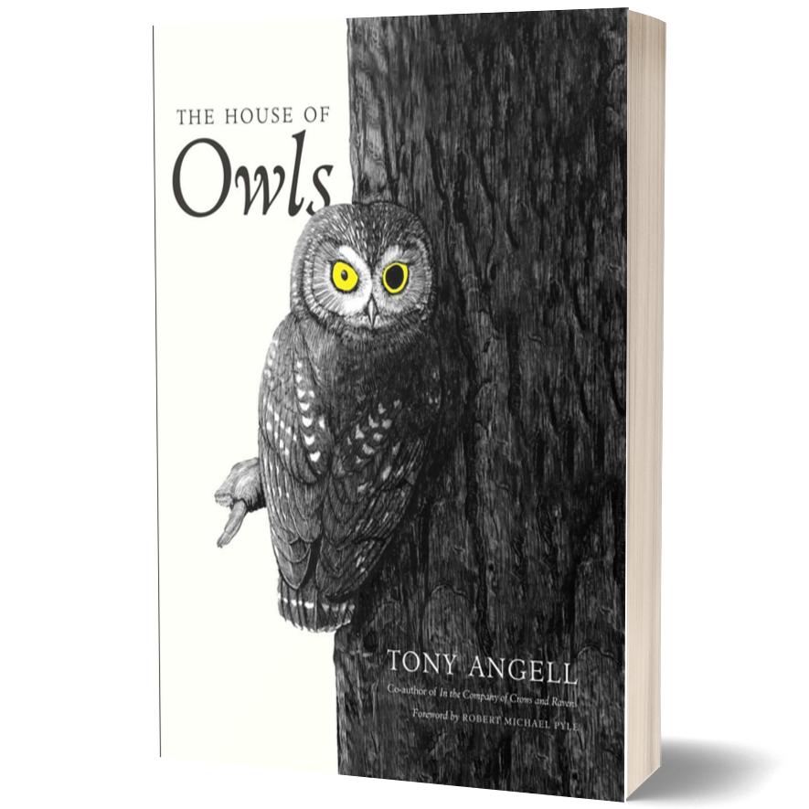 The House of Owls