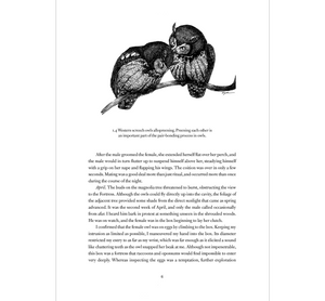 The House of Owls