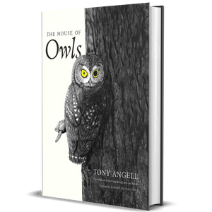 The House of Owls