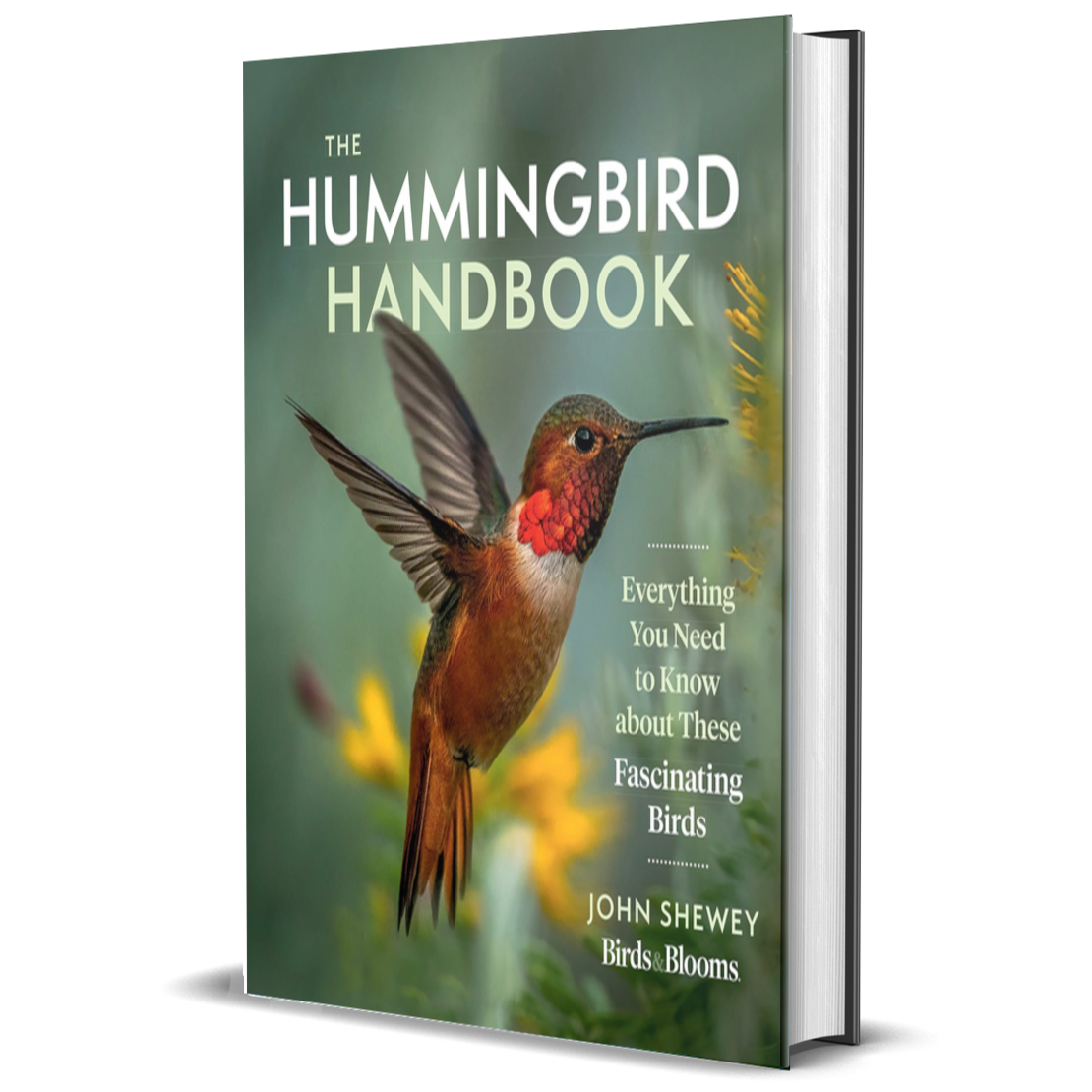 The Hummingbird Handbook: Everything You Need to Know about These Fascinating Birds
