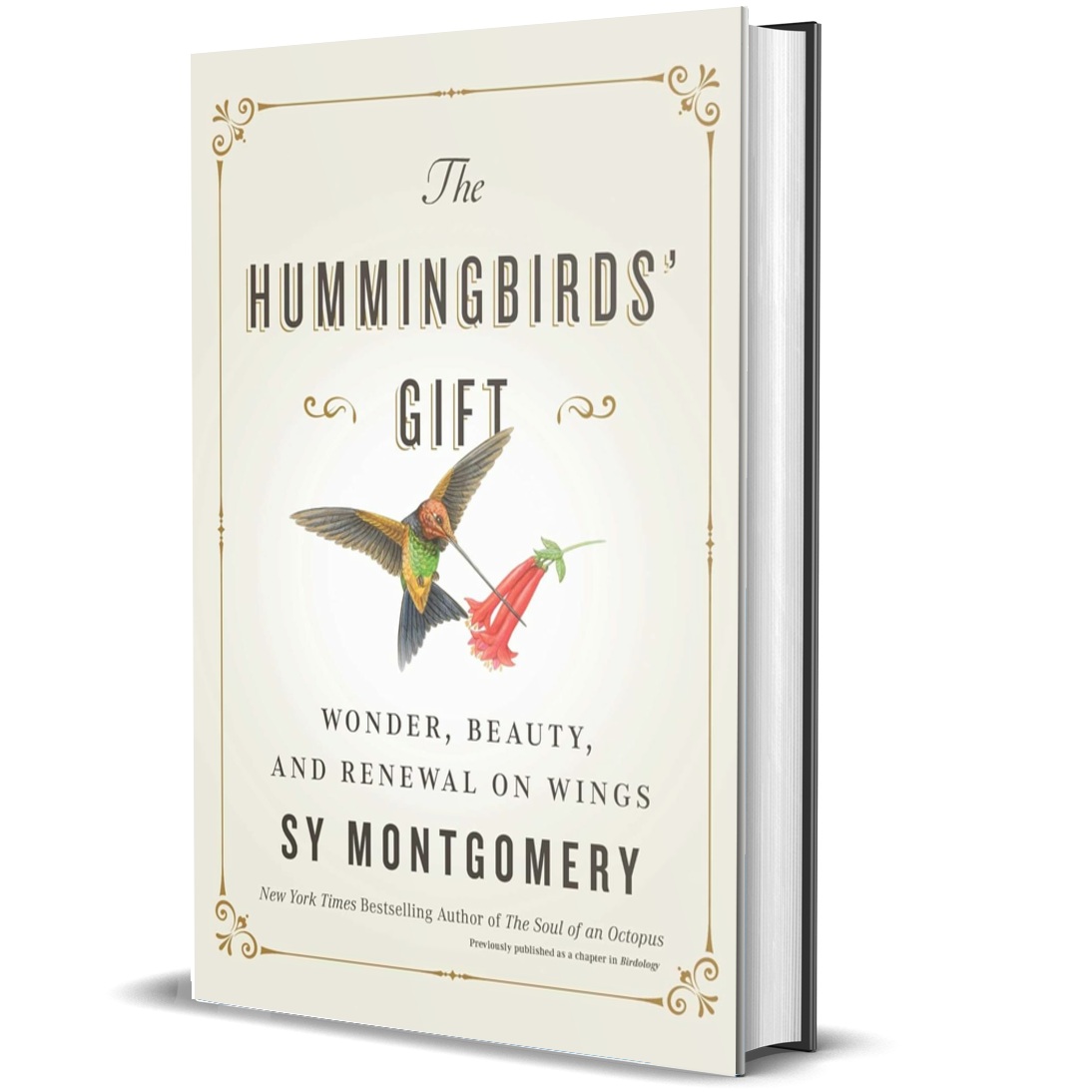 The Hummingbirds' Gift: Wonder, Beauty, and Renewal on Wings