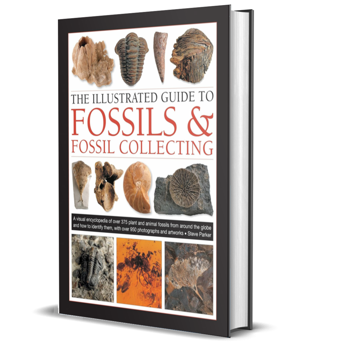 The Illustrated Guide to Fossils & Fossil Collecting: A Reference Guide to Over 375 Plant and Animal Fossils from Around the Globe and How to Identify Them, with Over 950 Photographs and Artworks