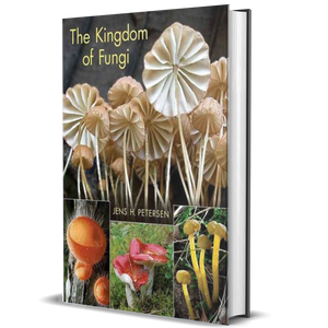 The Kingdom of Fungi