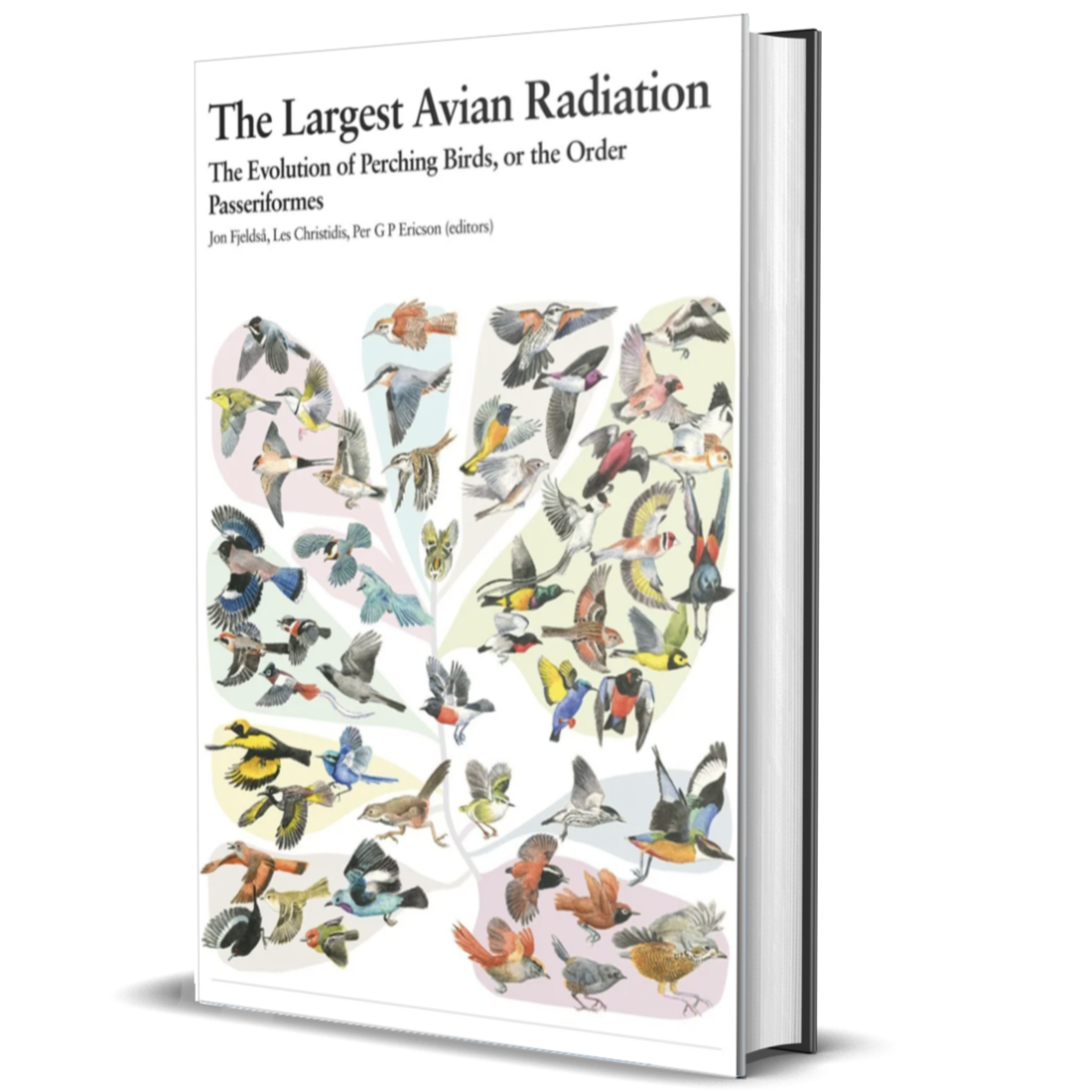 The Largest Avian Radiation: The Evolution of Perching Birds, or the Order Passeriformes