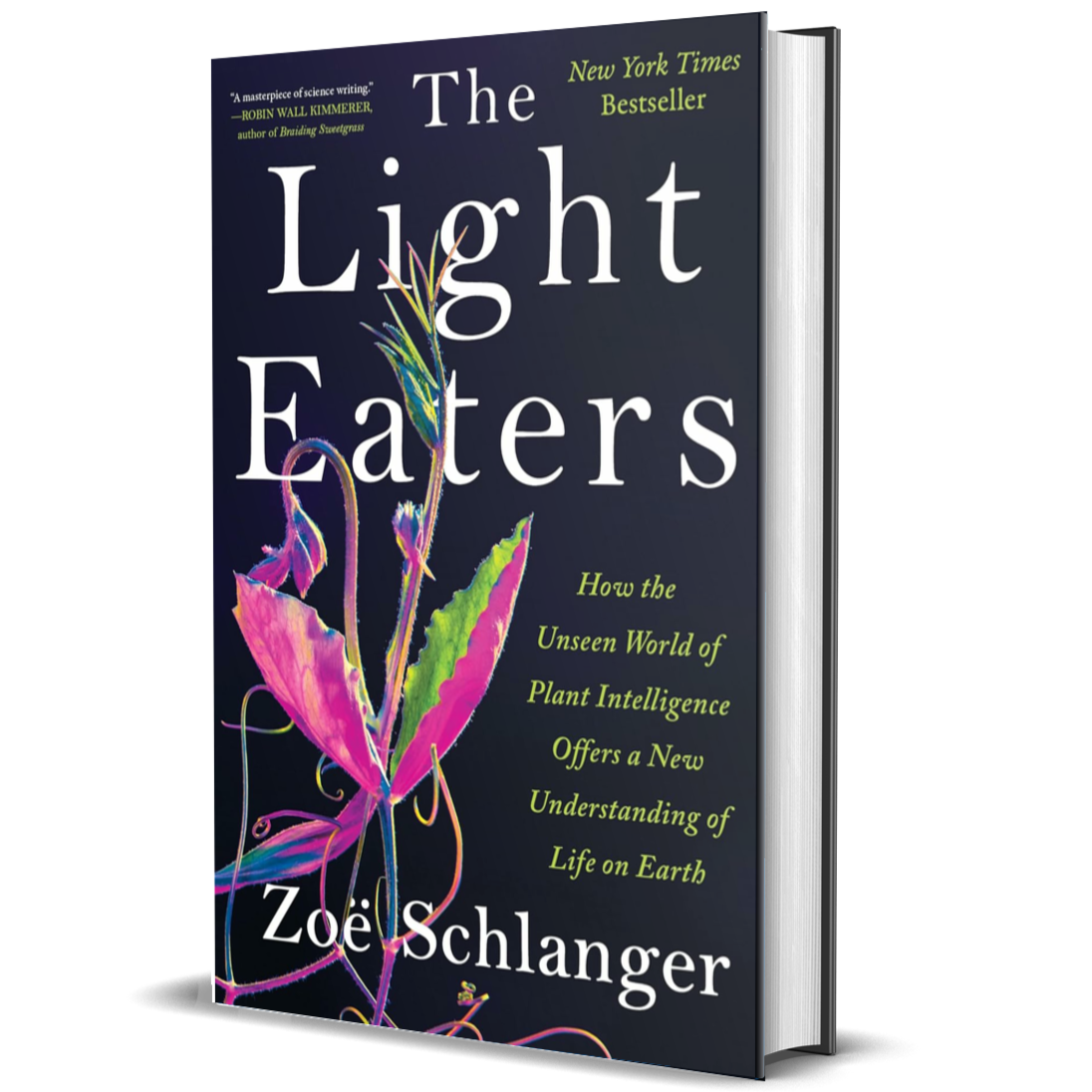 The Light Eaters: How the Unseen World of Plant Intelligence Offers a New Understanding of Life on Earth