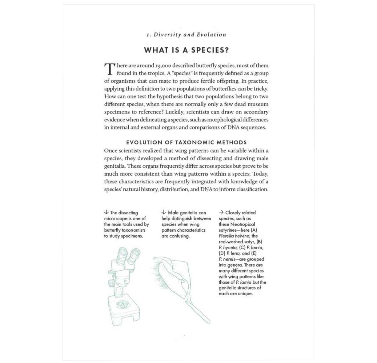 The Little Book of Butterflies (Little Books of Nature)