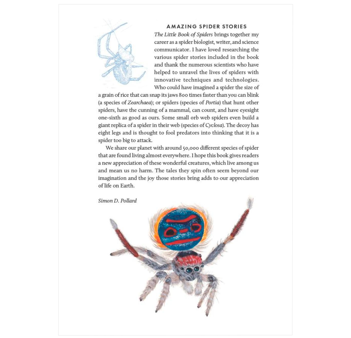 The Little Book of Spiders (Little Books of Nature)