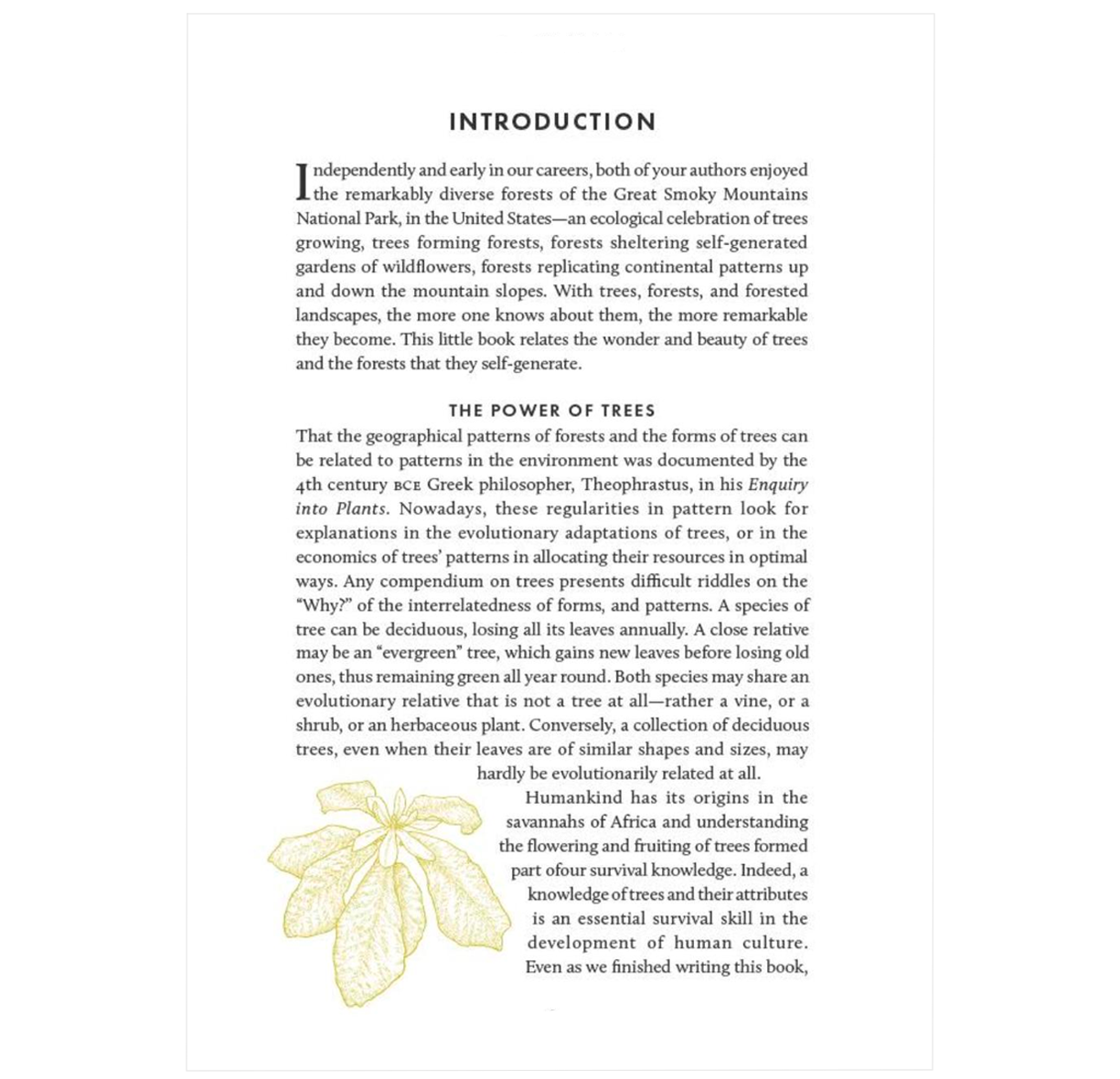 The Little Book of Trees