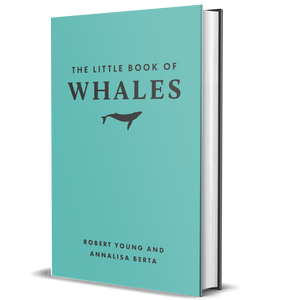 The Little Book of Whales (Little Books of Nature)