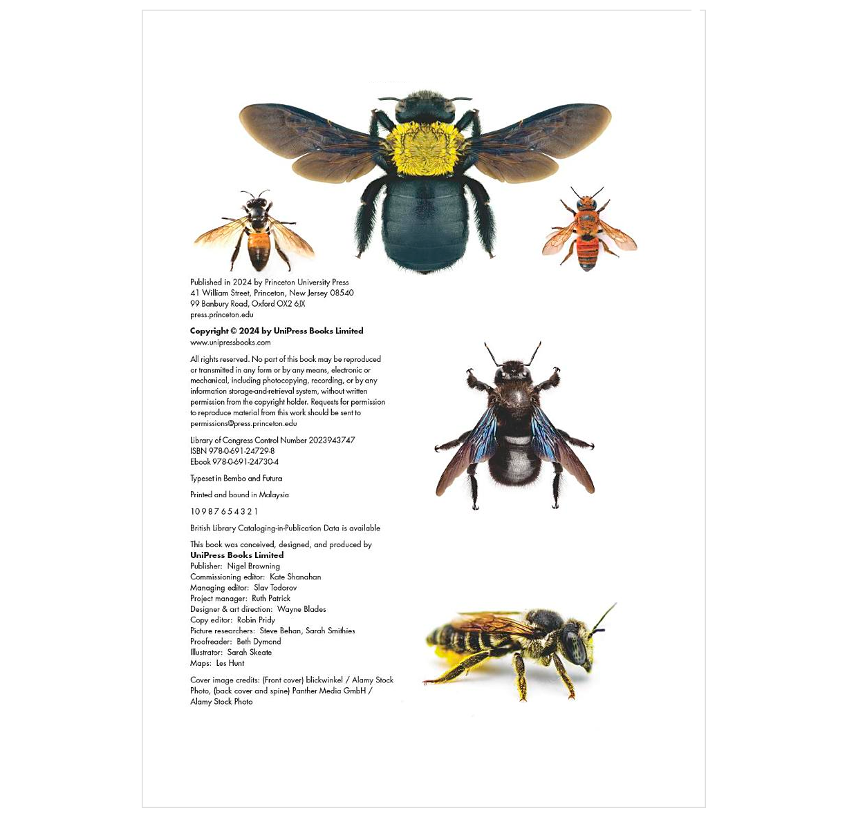 The Lives of Bees: A Natural History of Our Planet's Bee Life