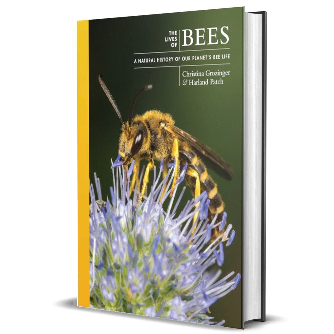The Lives of Bees: A Natural History of Our Planet's Bee Life