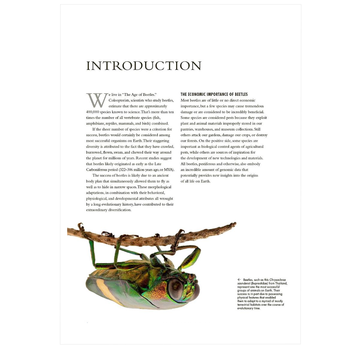 The Lives of Beetles: A Natural History of Coleoptera