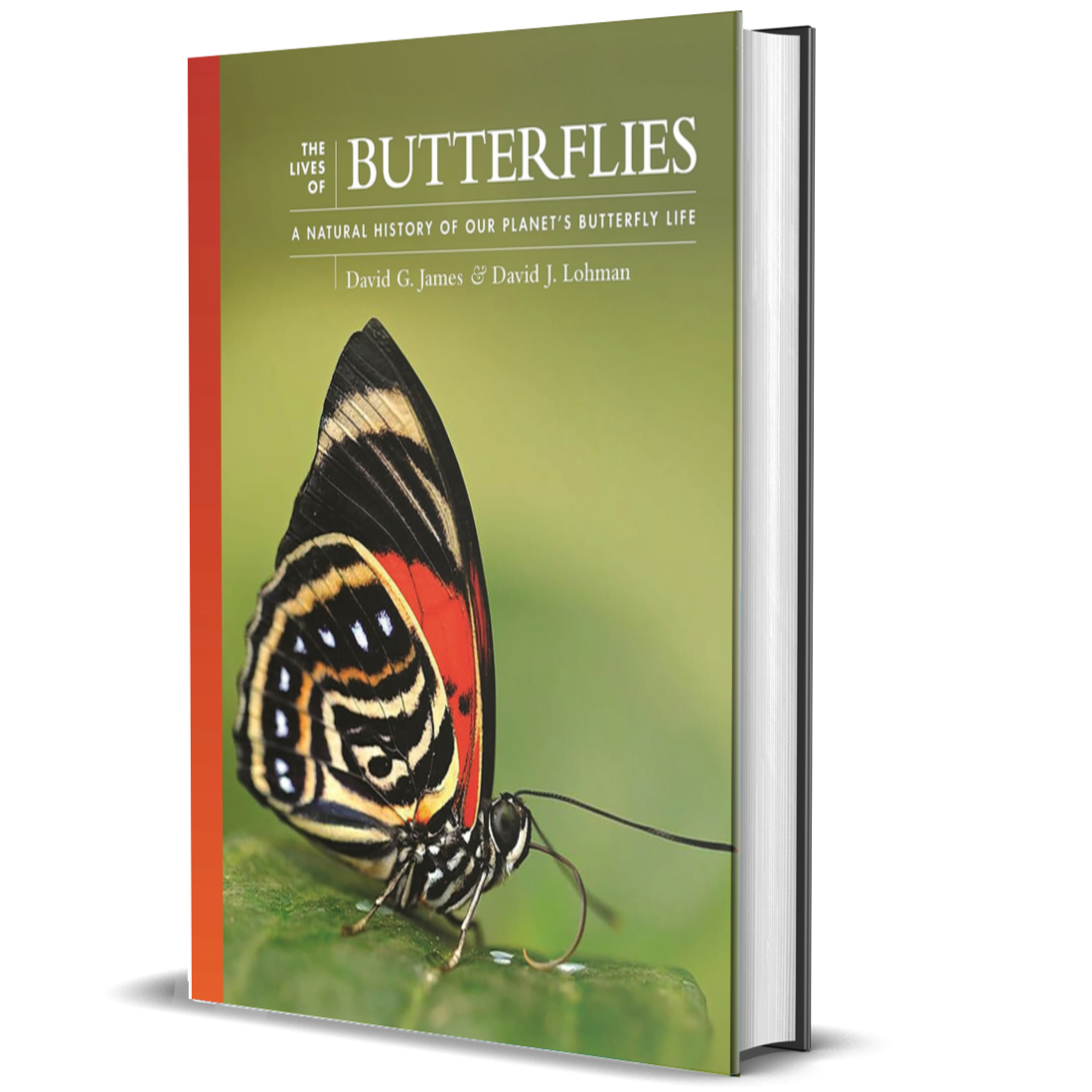 The Lives of Butterflies: A Natural History of Our Planet's Butterfly Life