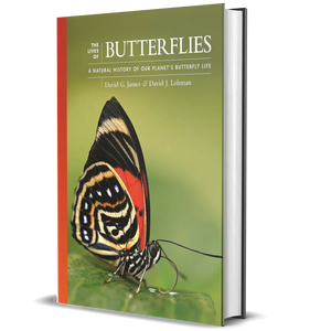 The Lives of Butterflies: A Natural History of Our Planet's Butterfly Life