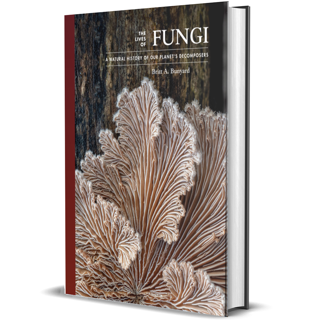 The Lives of Fungi: A Natural History of Our Planet's Decomposers ²⁵