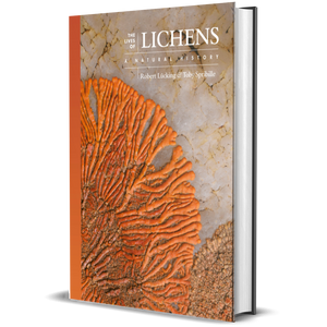 The Lives of Lichens A Natural History