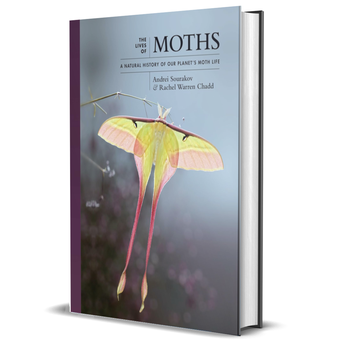The Lives of Moths: A Natural History of Our Planet's Moth Life
