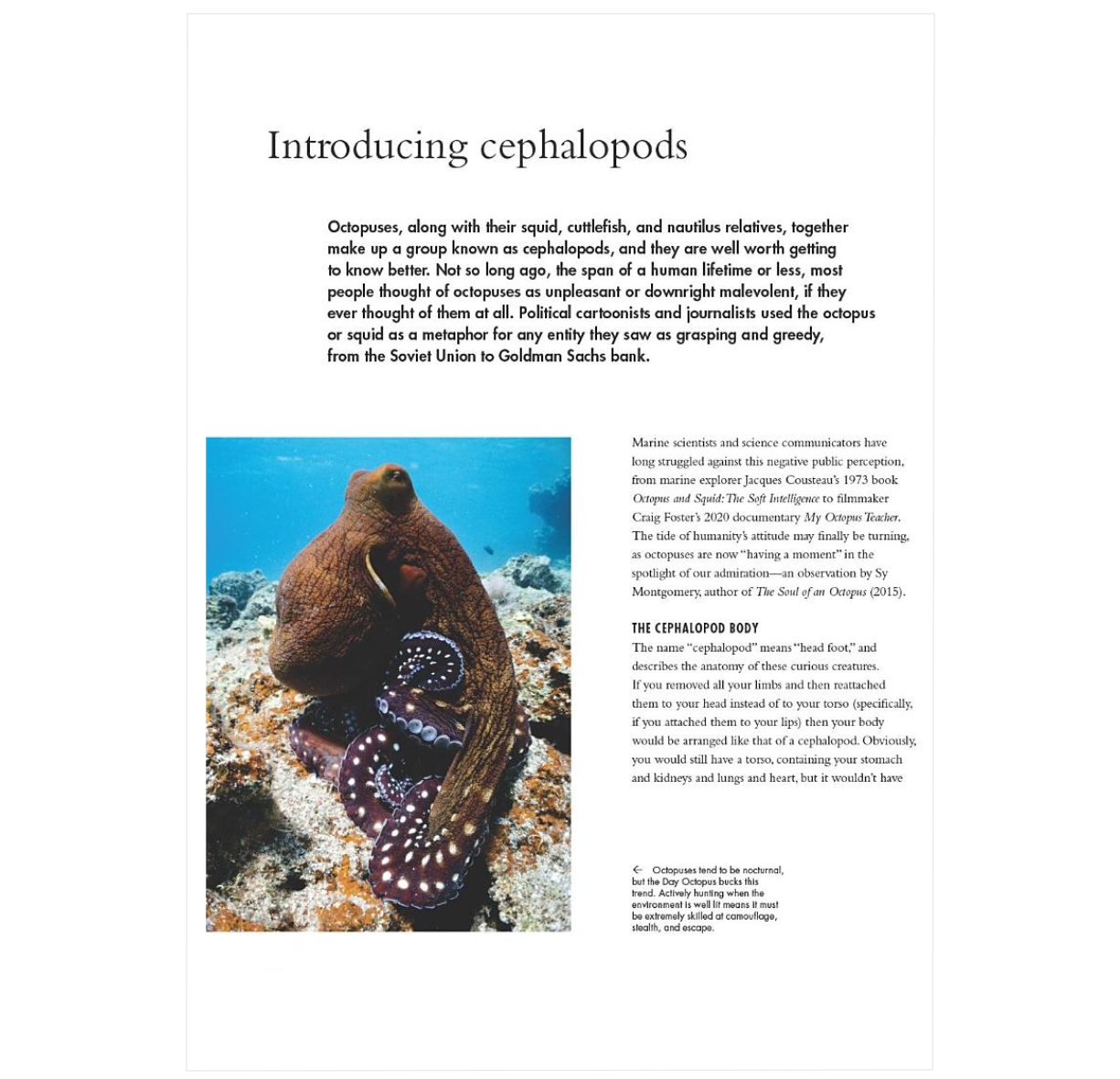 The Lives of Octopuses and Their Relatives: A Natural History of Cephalopods