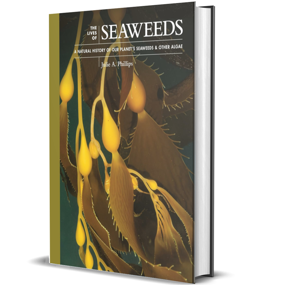 The Lives of Seaweeds: A Natural History of Our Planet's Seaweeds and Other Algae