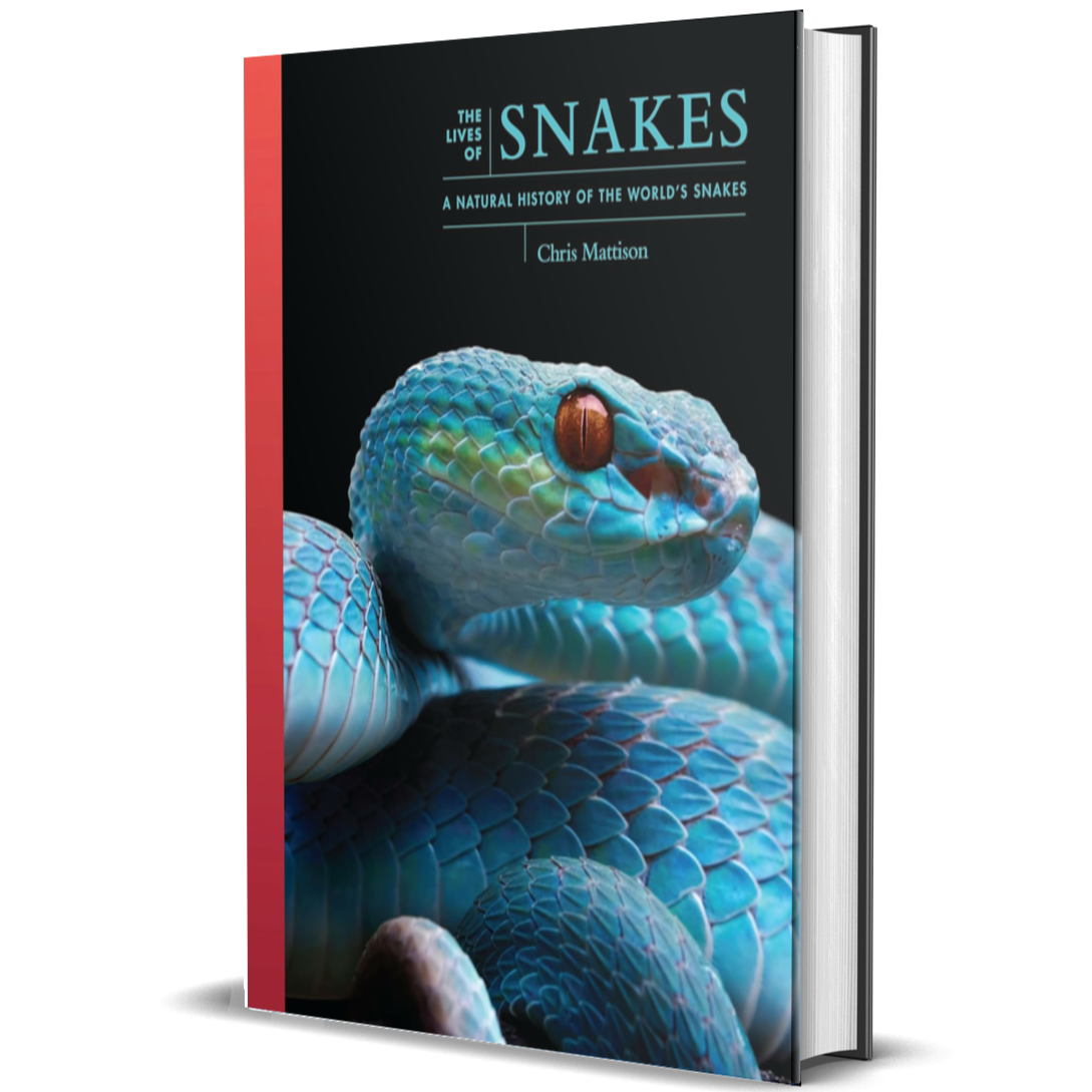 The Lives of Snakes: A Natural History of the World's Snake