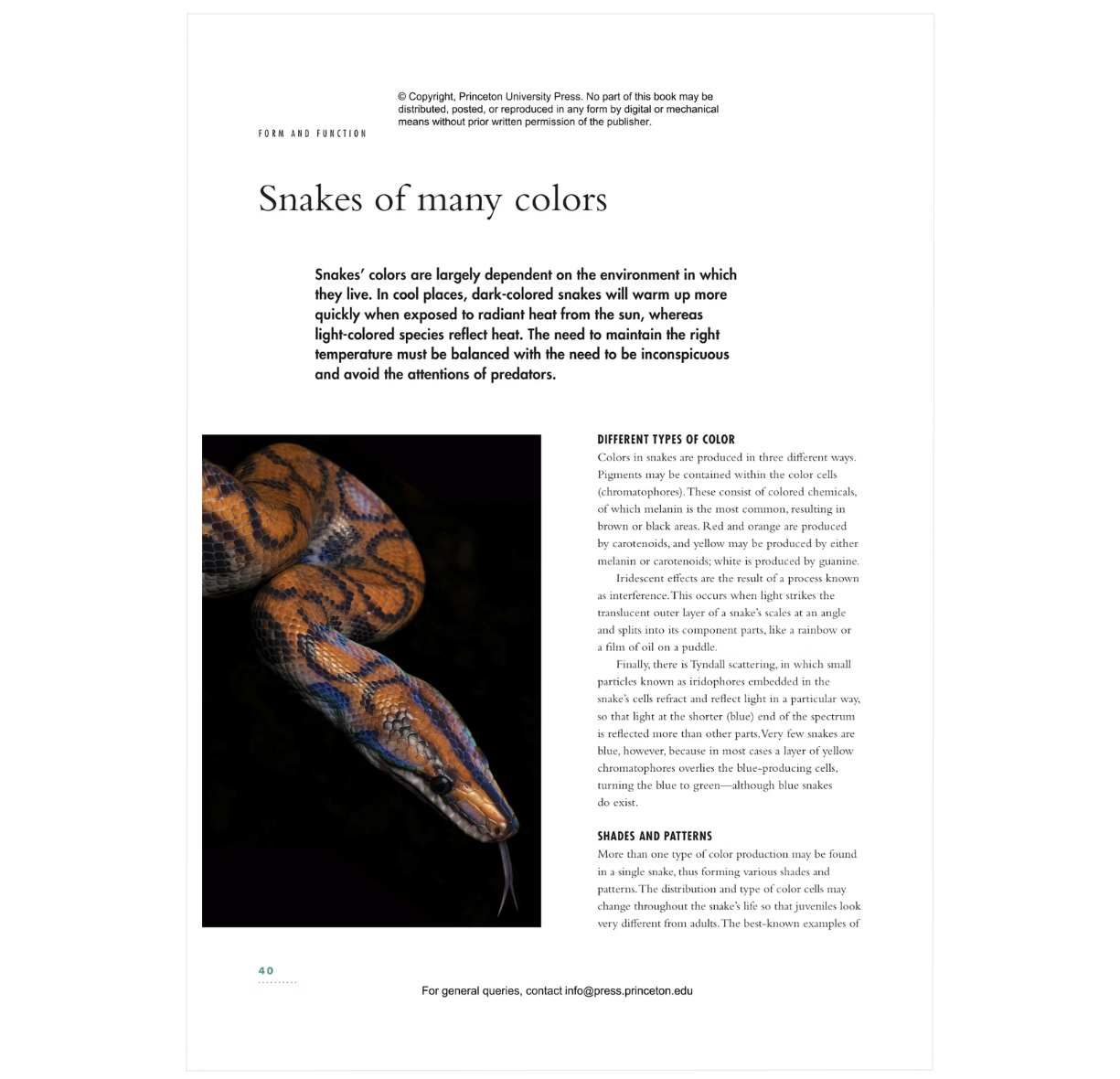 The Lives of Snakes: A Natural History of the World's Snake
