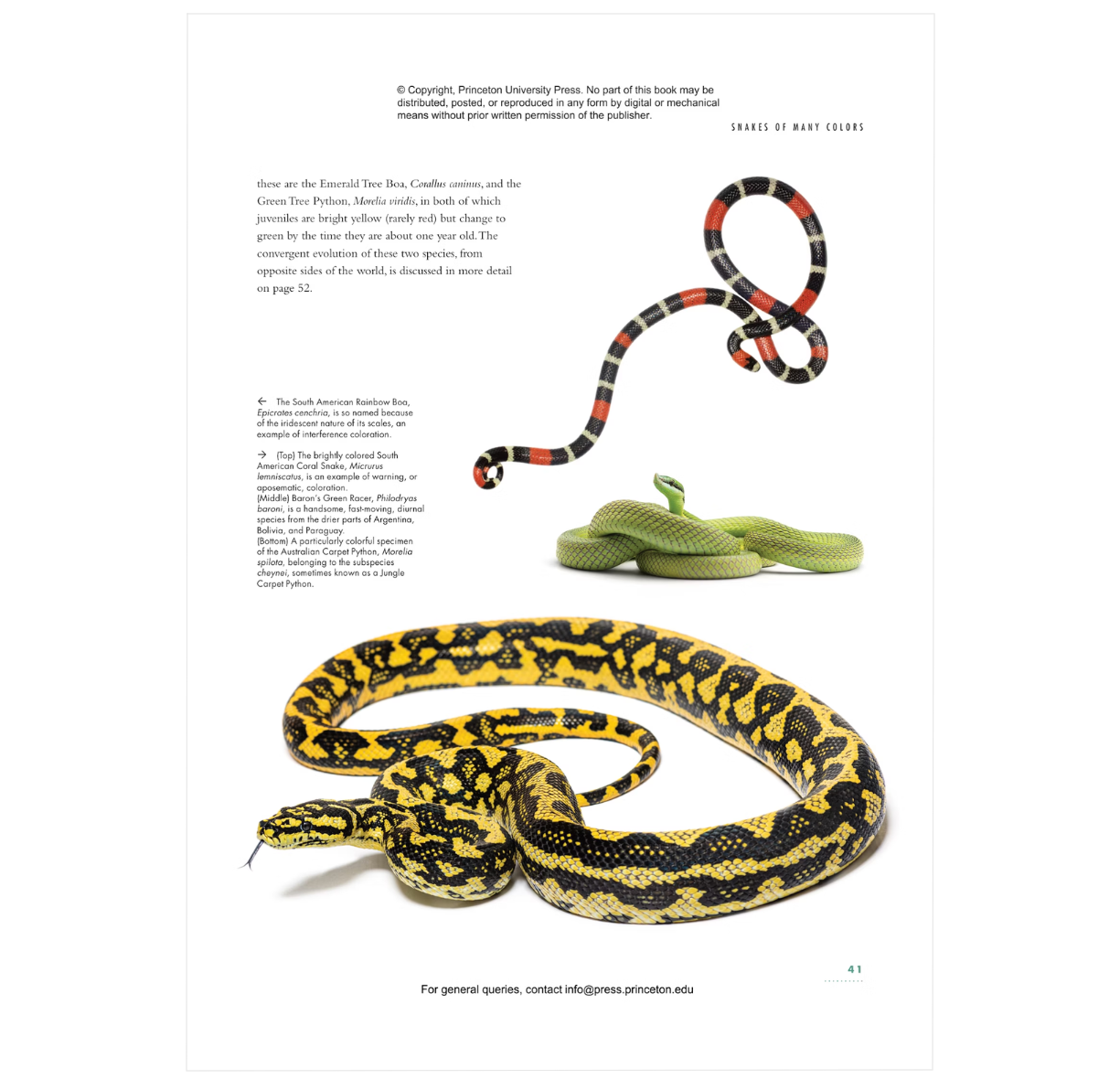 The Lives of Snakes: A Natural History of the World's Snake