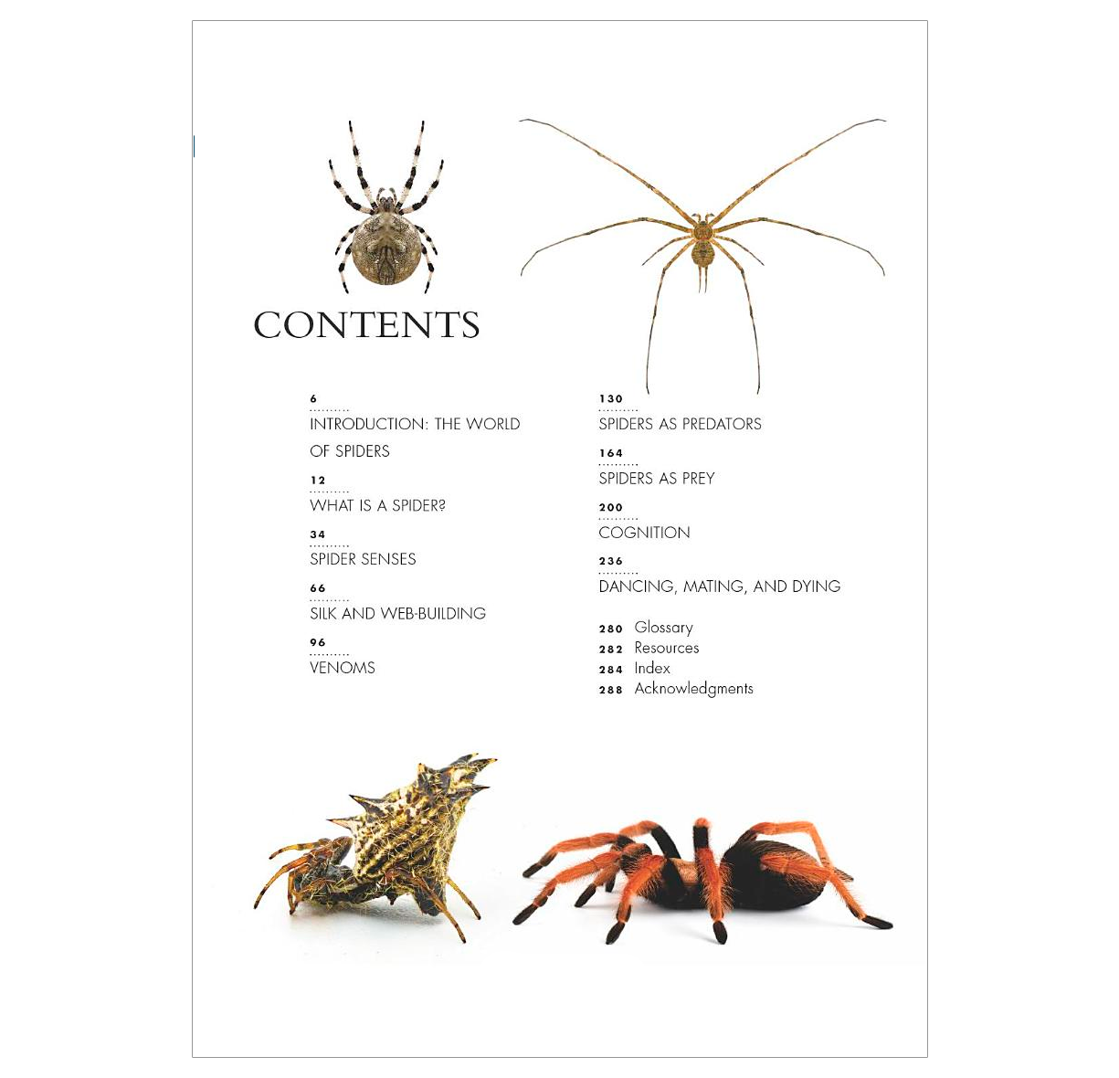 The Lives of Spiders: A Natural History of the World's Spiders