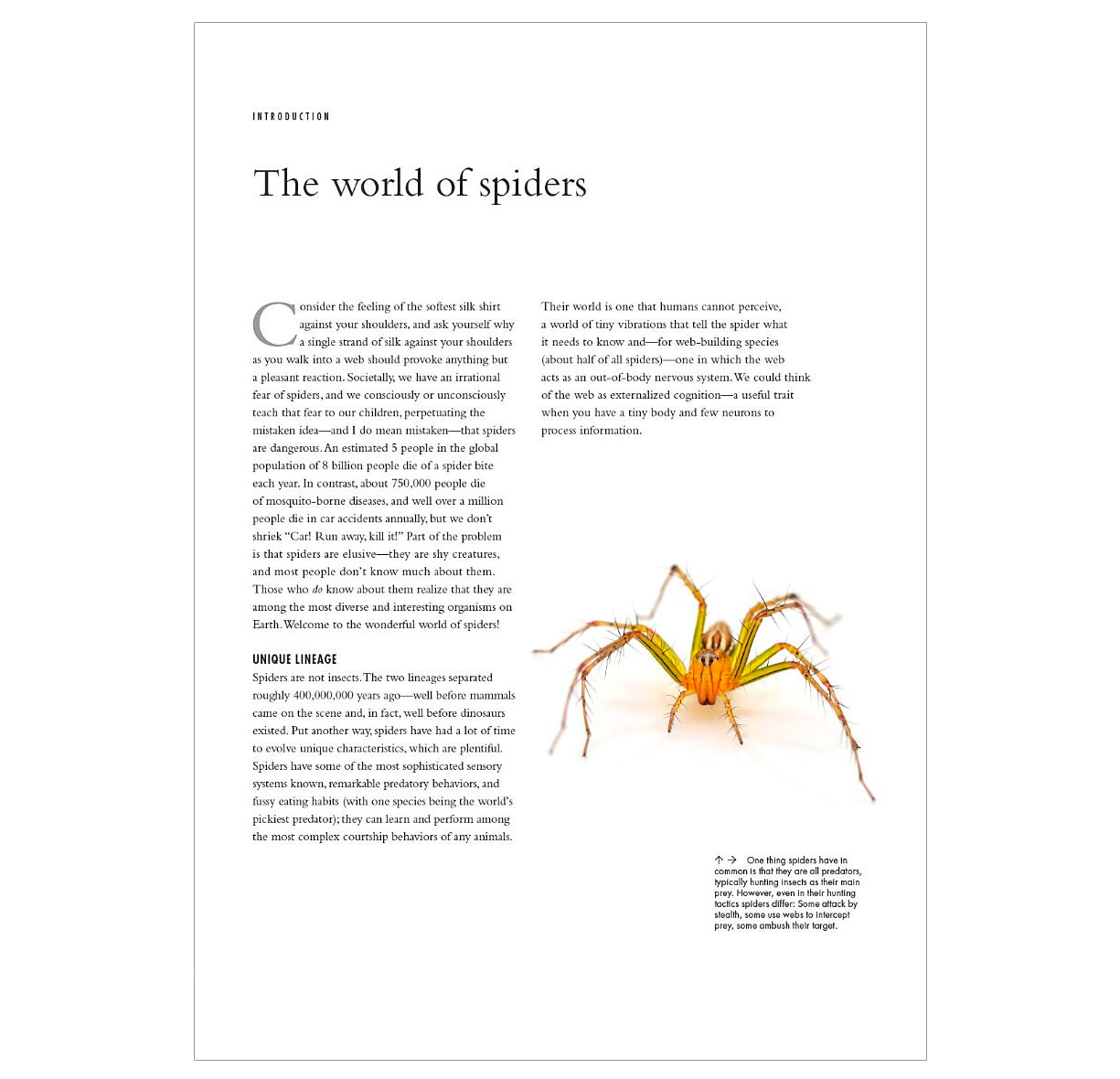 The Lives of Spiders: A Natural History of the World's Spiders