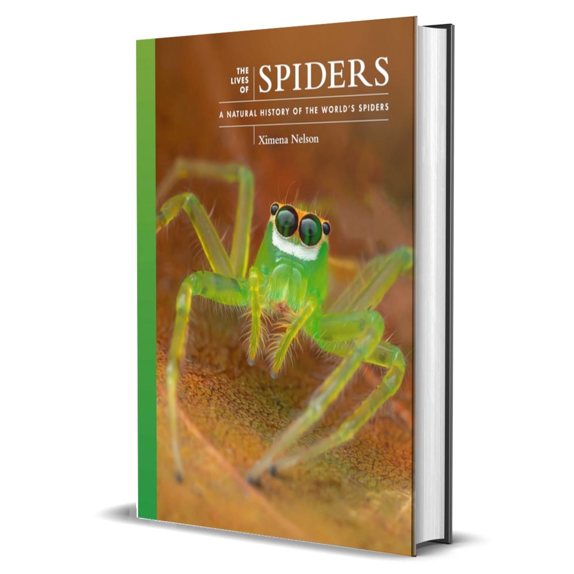 The Lives of Spiders: A Natural History of the World's Spiders