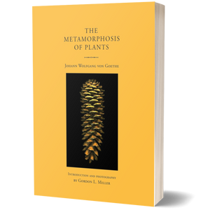 The Metamorphosis of Plants