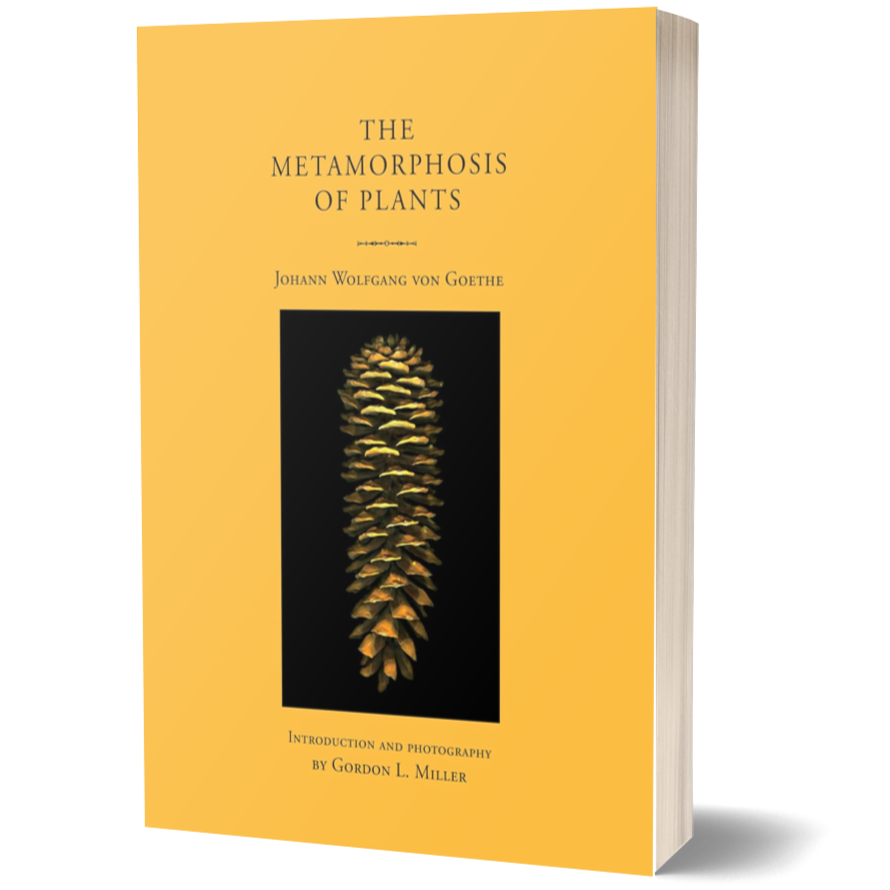 The Metamorphosis of Plants