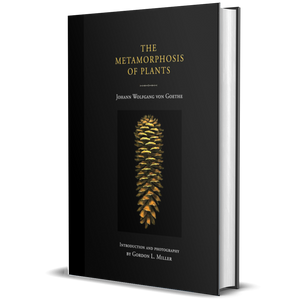 The Metamorphosis of Plants