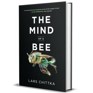The Mind of a Bee