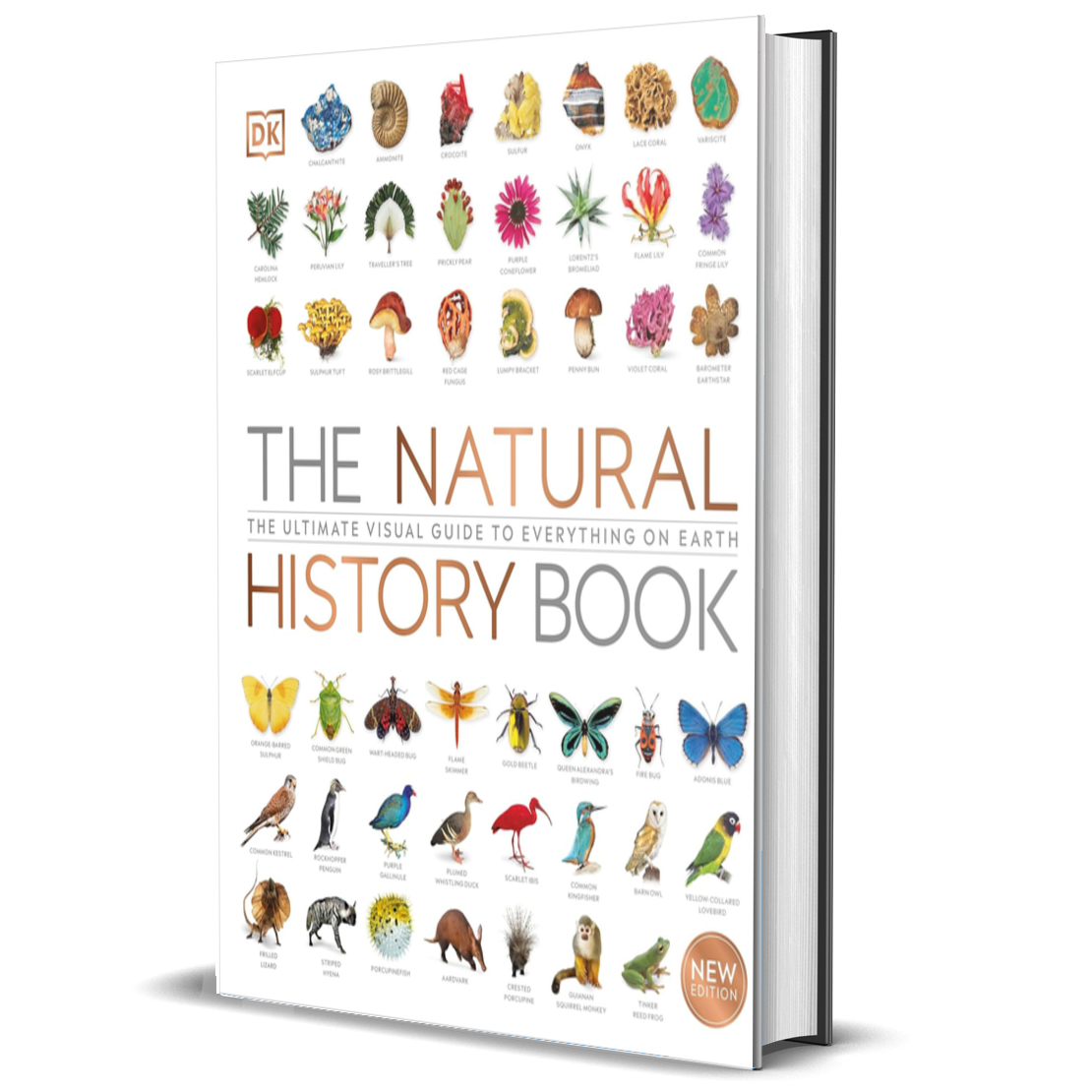 The Natural History Book: The Ultimate Visual Guide to Everything on Earth