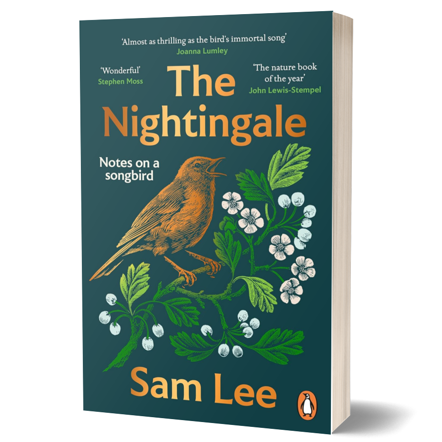 The Nightingale