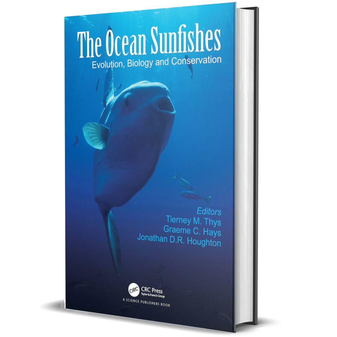 The Ocean Sunfishes