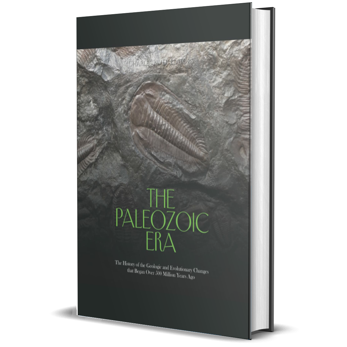 The Paleozoic Era: The History of the Geologic and Evolutionary Changes that Began Over 500 Million Years Ago