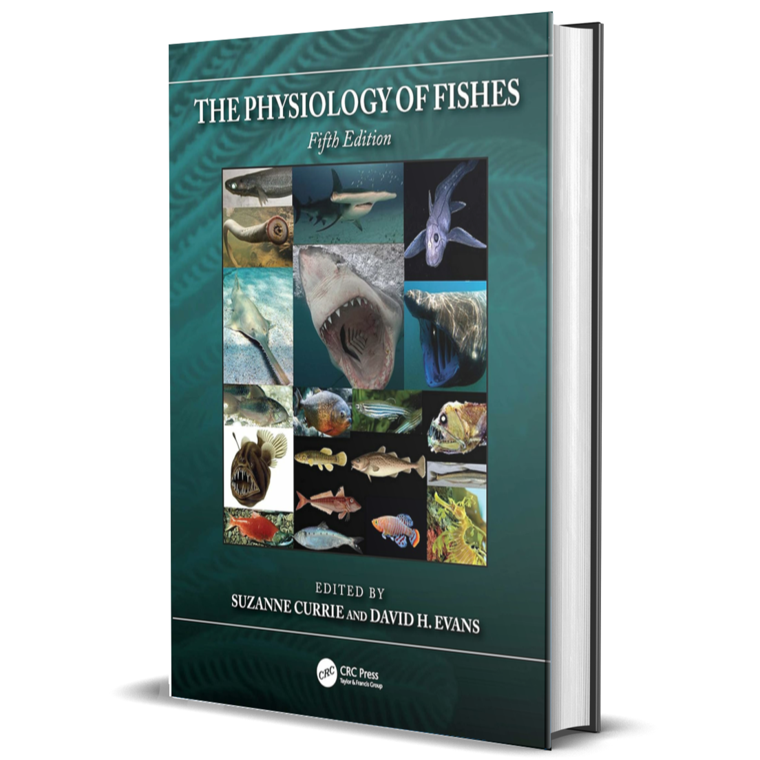 The Physiology of Fishes (CRC Marine Biology Series)