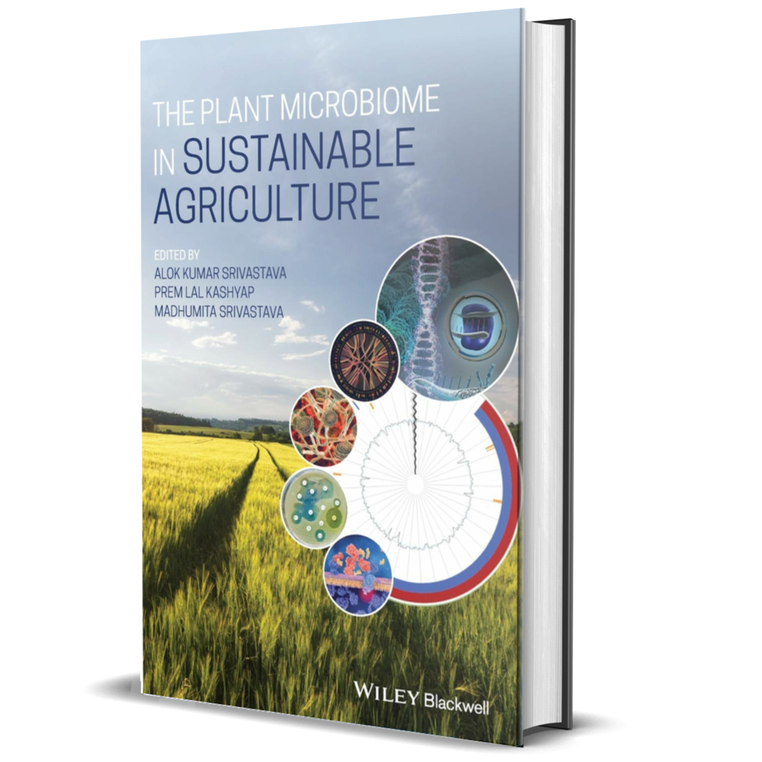 The Plant Microbiome in Sustainable Agriculture