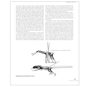 The Princeton Field Guide to Pterosaurs