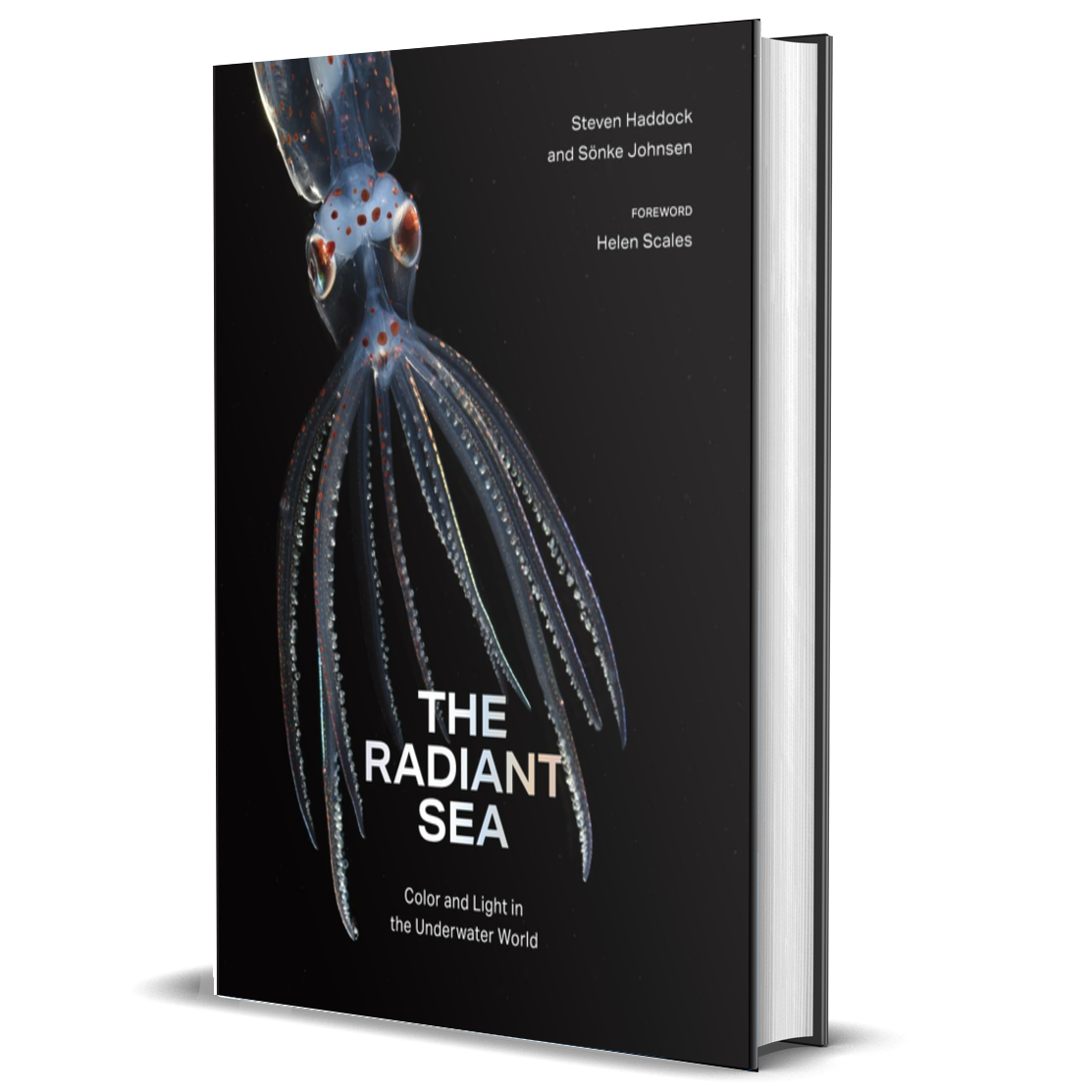 The Radiant Sea: Color and Light in the Underwater World