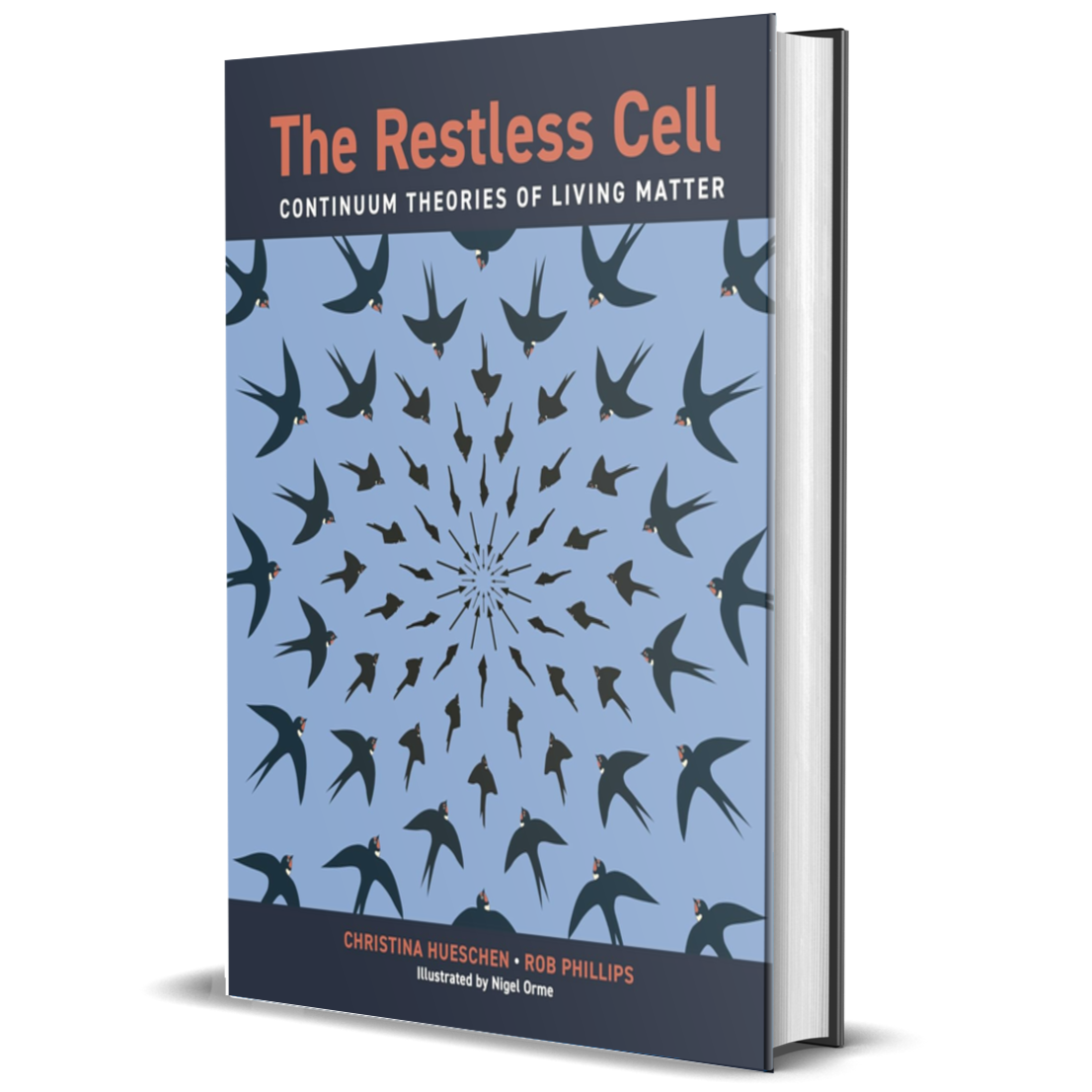 The Restless Cell: Continuum Theories of Living Matter